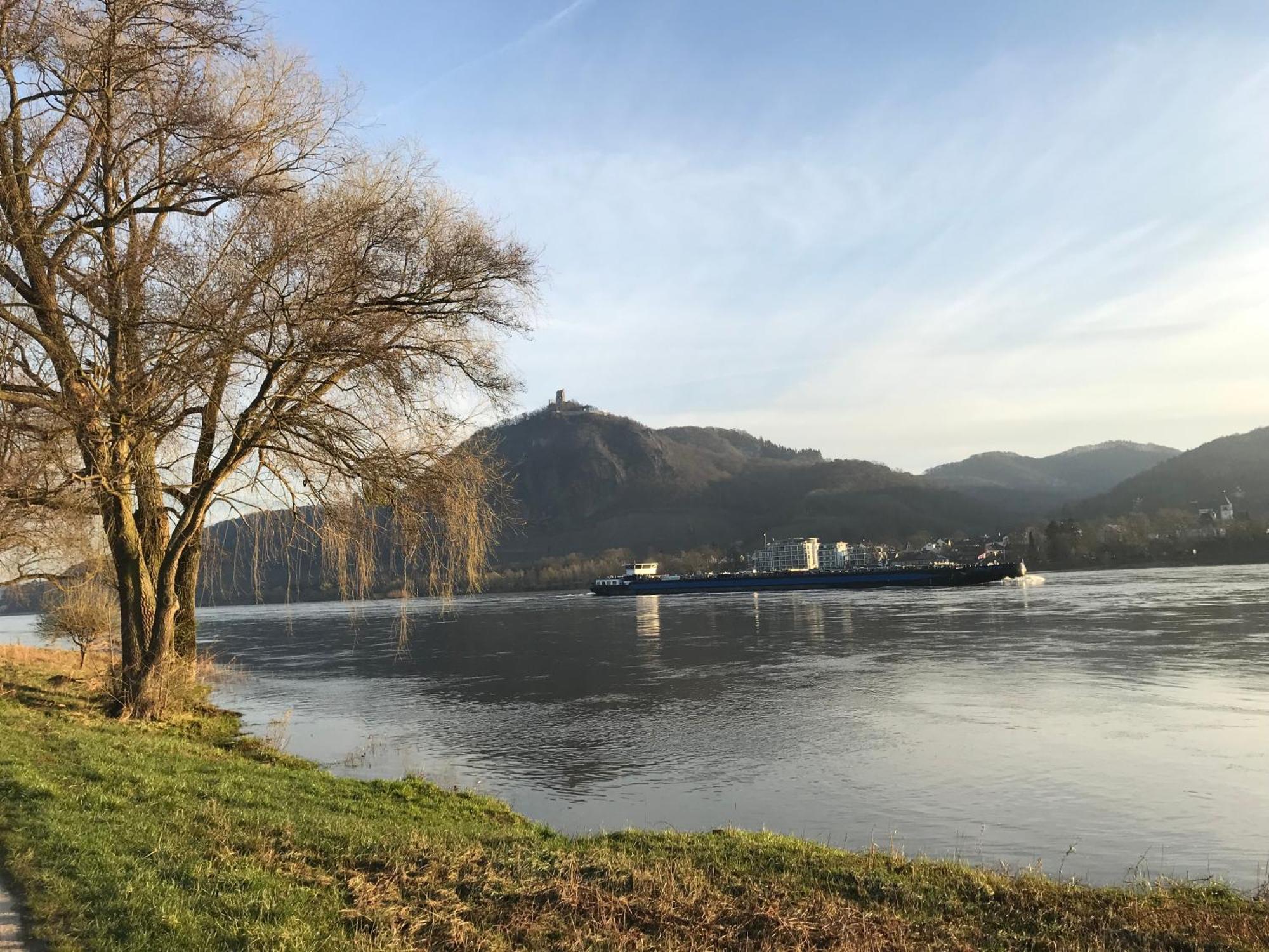 Вилла Ferienhaus Rheinperle Mit Garten In Remagen Am Rhein - Naehe Bonn Экстерьер фото