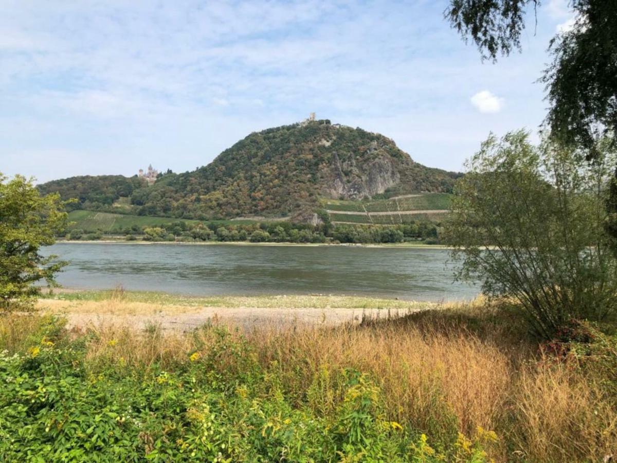 Вилла Ferienhaus Rheinperle Mit Garten In Remagen Am Rhein - Naehe Bonn Экстерьер фото